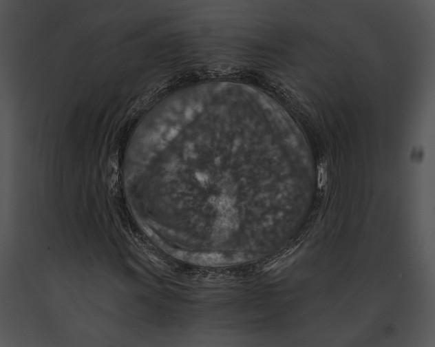 X0000091181011200708301212