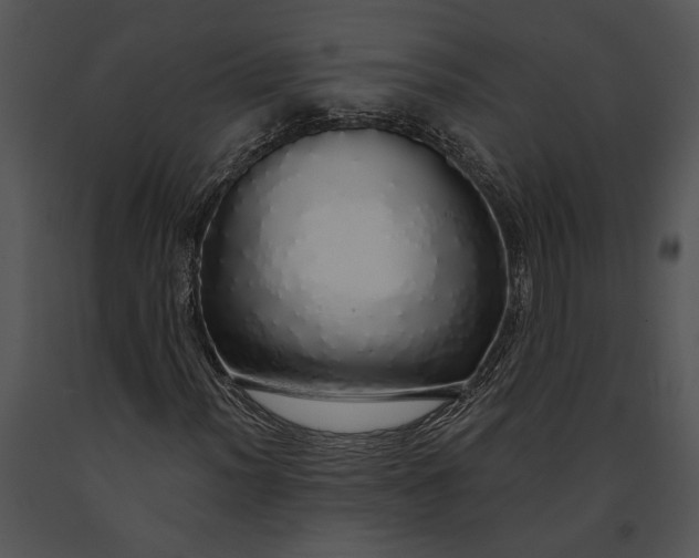 X0000091181012200708301212