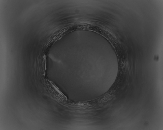 X0000091181013200708301212