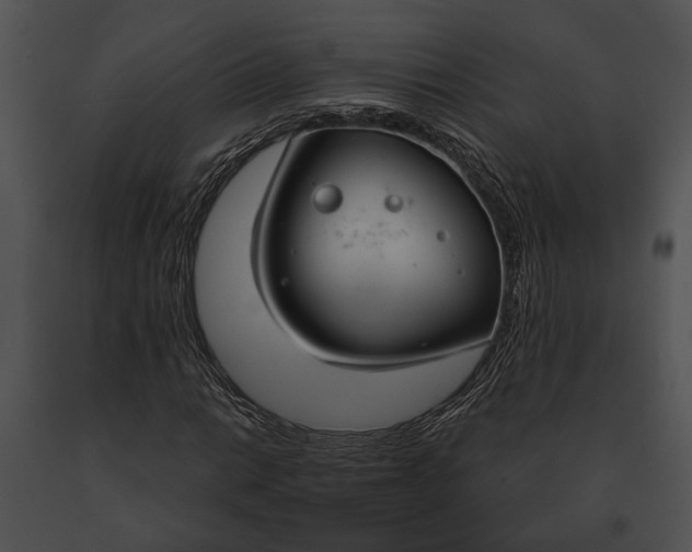 X0000091181014200708301212