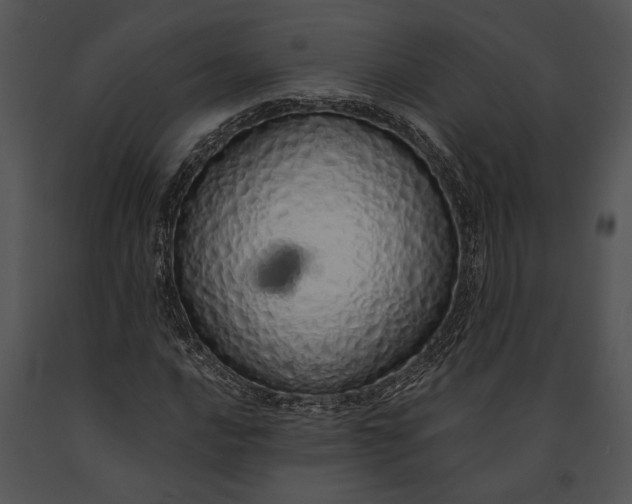 X0000091181016200708301212