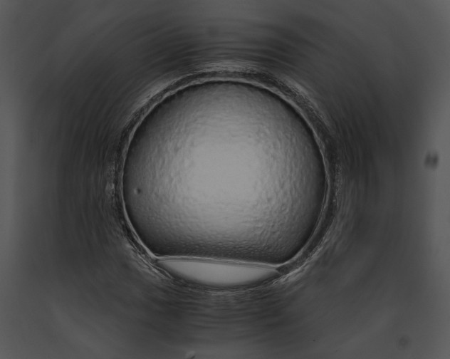 X0000091181017200708301212