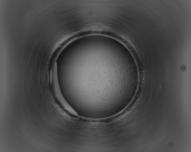 X0000091181018200708301212