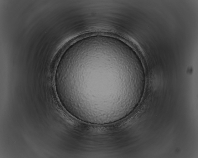 X0000091181019200708301212