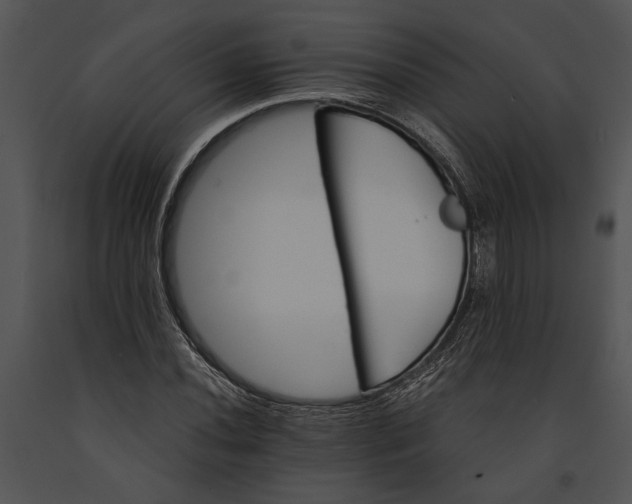 X0000091181020200708301212