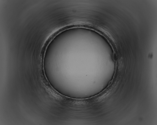 X0000091181021200708301212