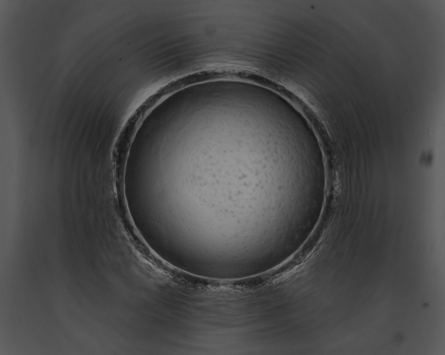 X0000091181022200708301212