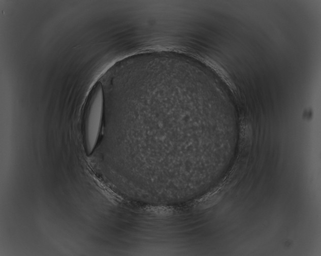 X0000091181023200708301212