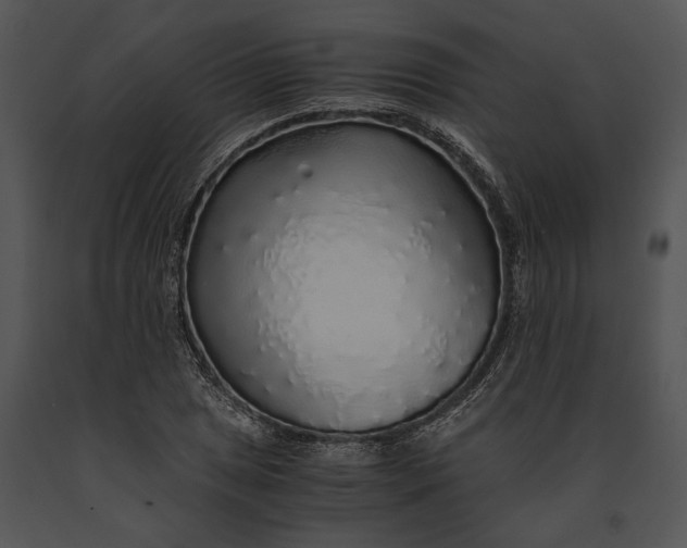 X0000091181025200708301212