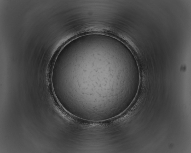 X0000091181026200708301212