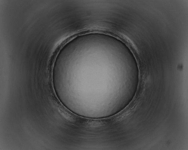 X0000091181027200708301212