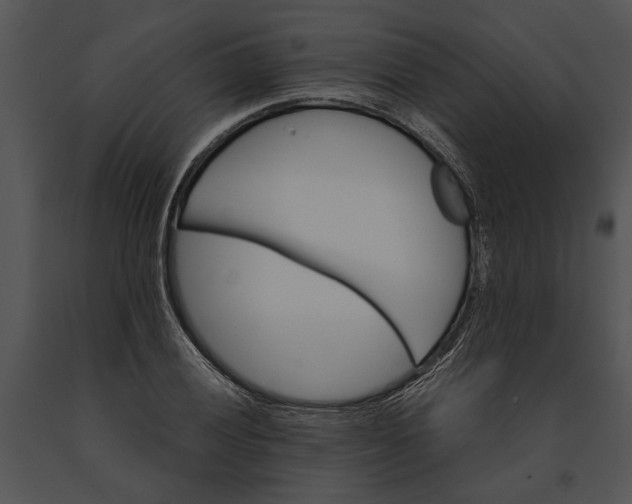 X0000091181028200708301212