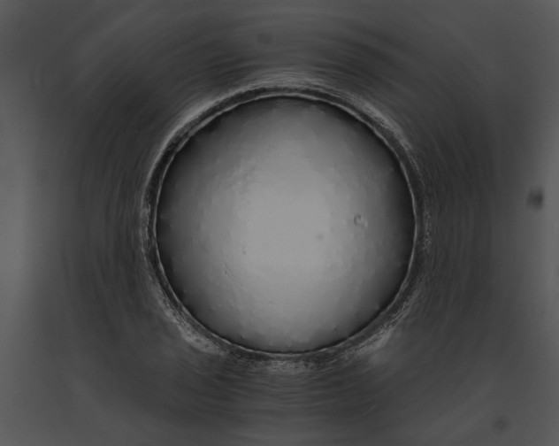 X0000091181029200708301212