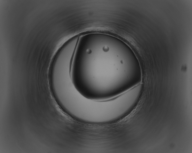 X0000091181030200708301212