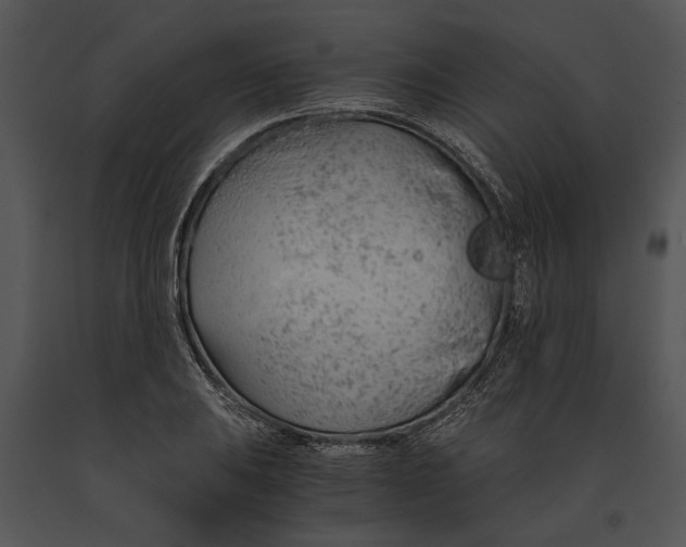 X0000091181031200708301212