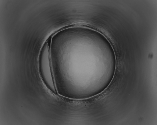 X0000091181032200708301212