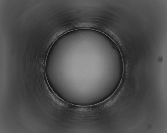 X0000091181033200708301212