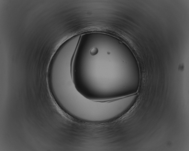 X0000091181034200708301212