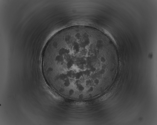 X0000091181035200708301212