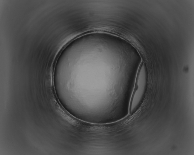 X0000091181036200708301212