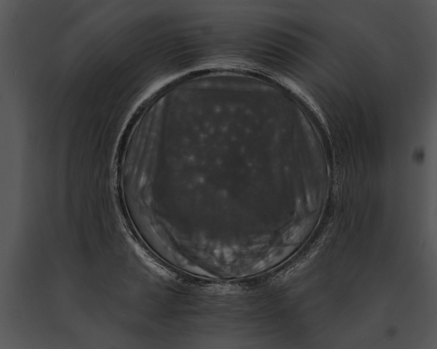 X0000091181037200708301212