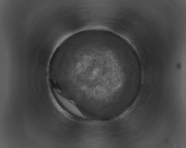 X0000091181038200708301212