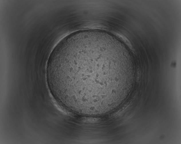 X0000091181039200708301212