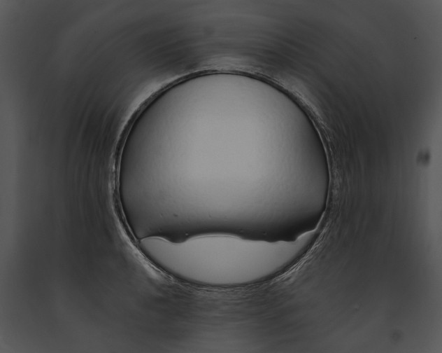 X0000091181040200708301212