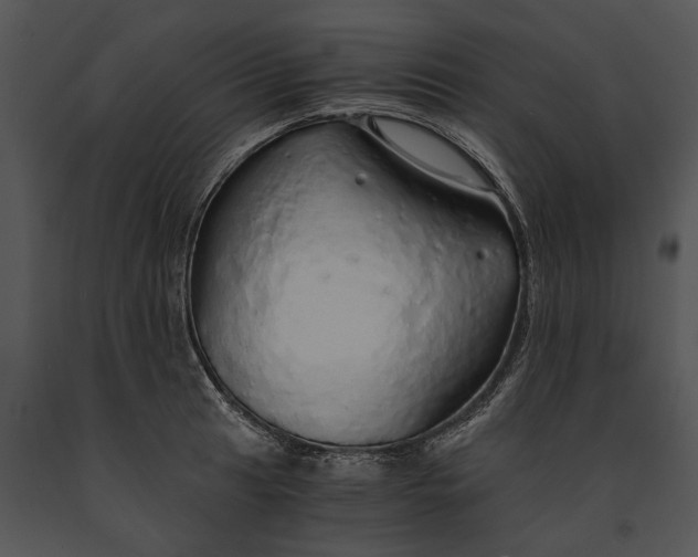 X0000091181041200708301212