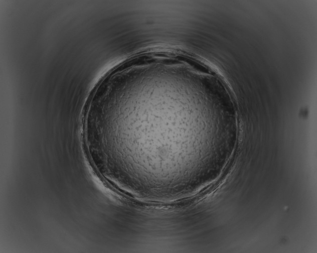 X0000091181042200708301212