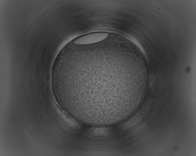 X0000091181043200708301212