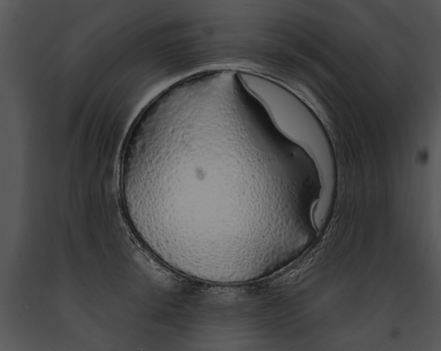 X0000091181044200708301212