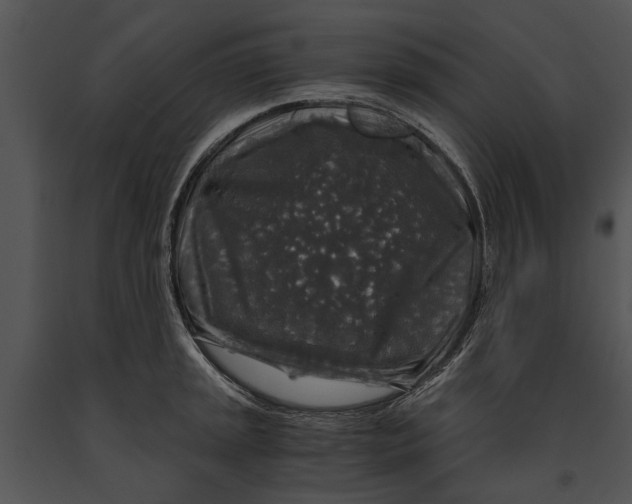 X0000091181045200708301213