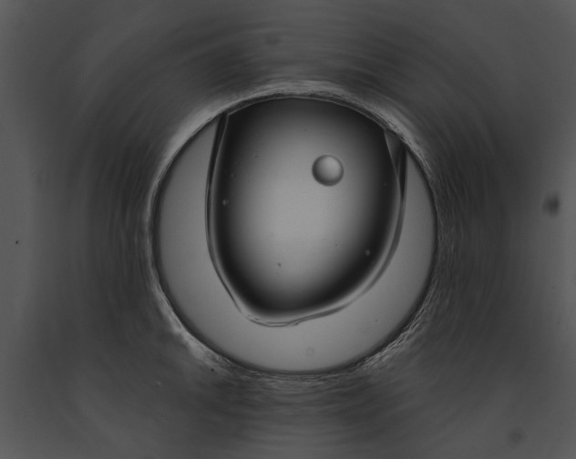 X0000091181046200708301213