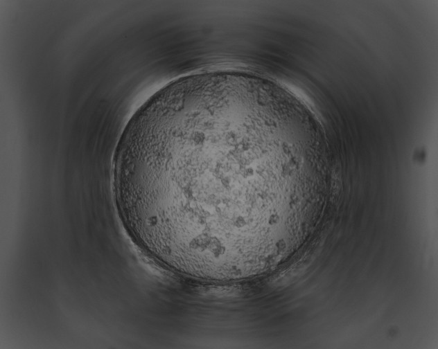 X0000091181047200708301213