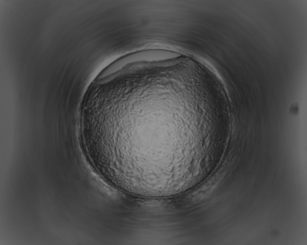 X0000091181048200708301213