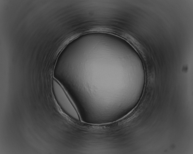 X0000091181049200708301213