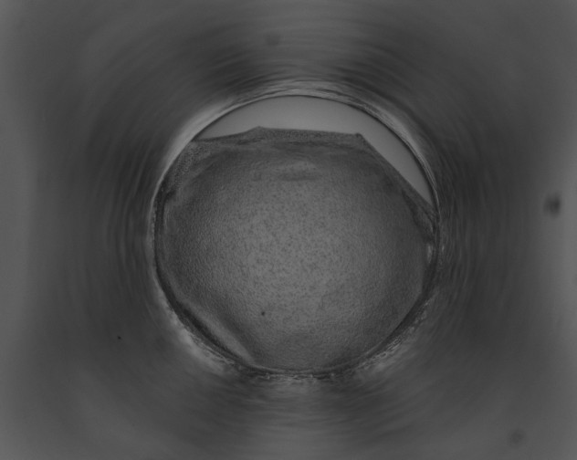 X0000091181050200708301213