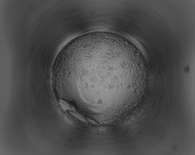 X0000091181051200708301213