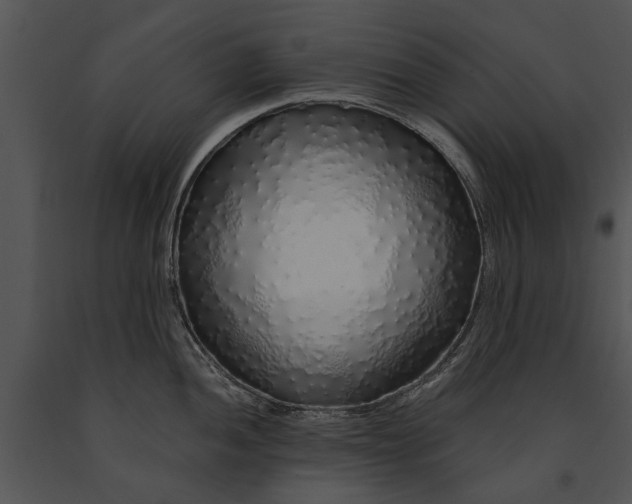 X0000091181052200708301213