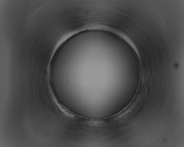 X0000091181053200708301213