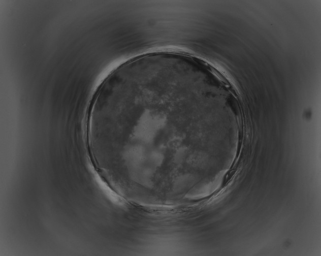 X0000091181054200708301213