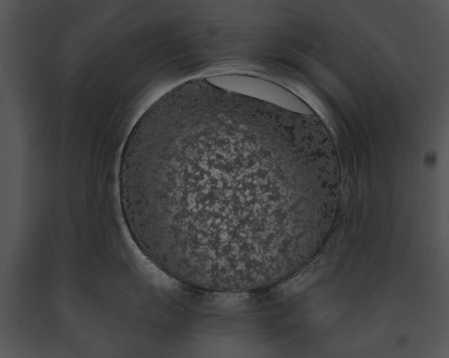 X0000091181055200708301213