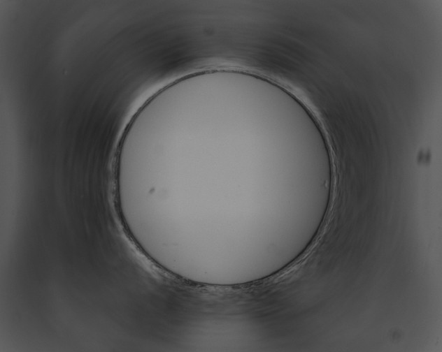 X0000091181056200708301213