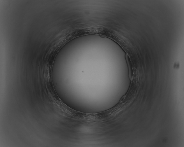 X0000091181058200708301212