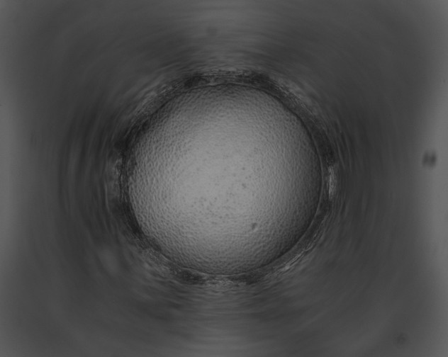 X0000091181059200708301212