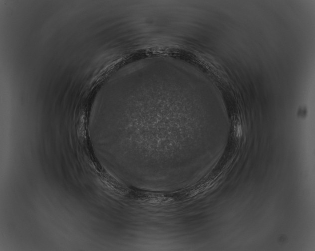 X0000091181060200708301212