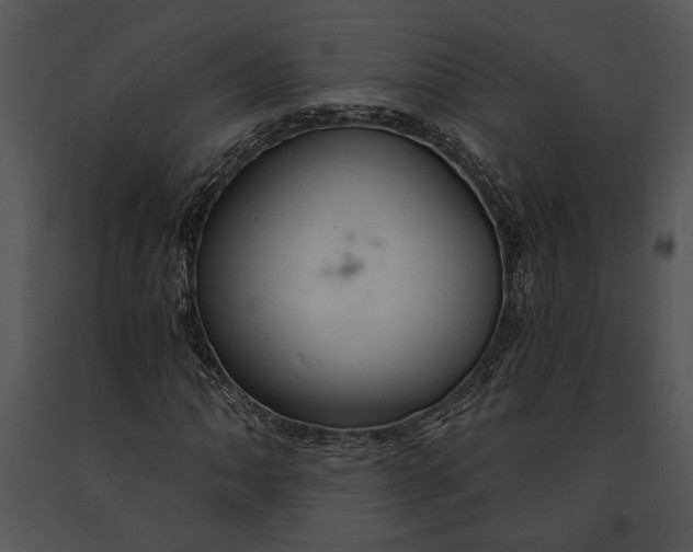 X0000091181062200708301212