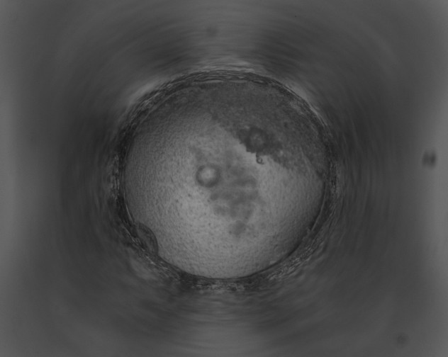 X0000091181063200708301212