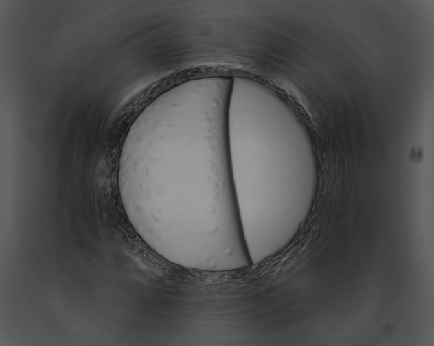 X0000091181064200708301212